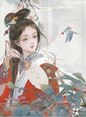 老狼宏官网
